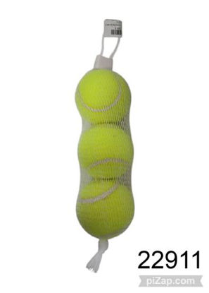 Imagen de PELOTA DE TENIS X 3 EN RED 2.26